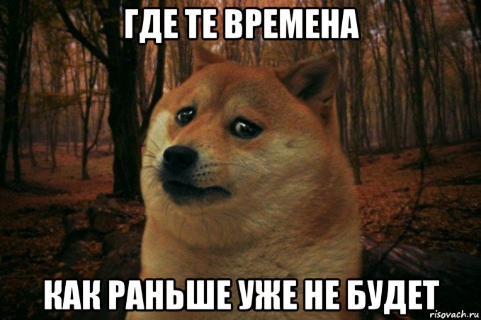 где те времена как раньше уже не будет, Мем SAD DOGE