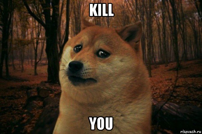 kill you, Мем SAD DOGE