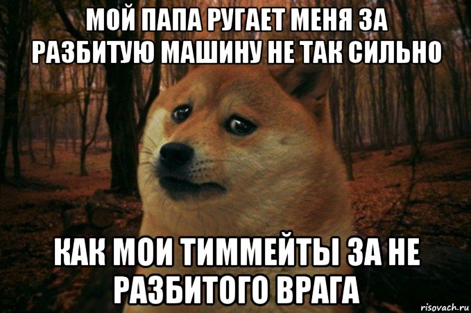 мой папа ругает меня за разбитую машину не так сильно как мои тиммейты за не разбитого врага, Мем SAD DOGE