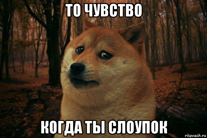 то чувство когда ты слоупок, Мем SAD DOGE