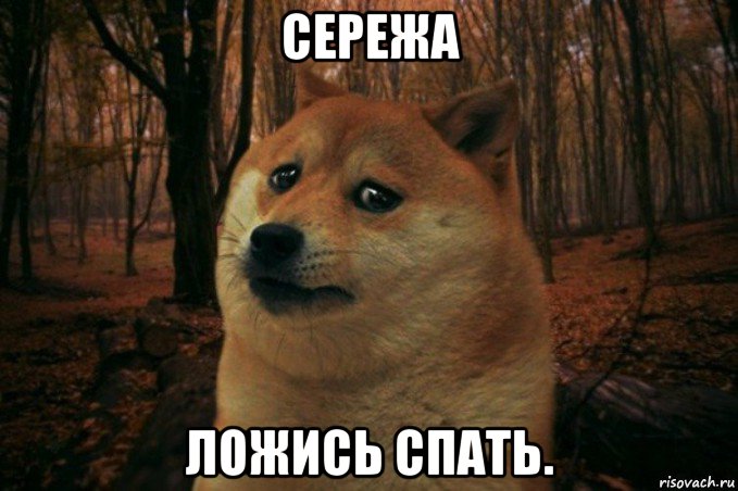 сережа ложись спать., Мем SAD DOGE