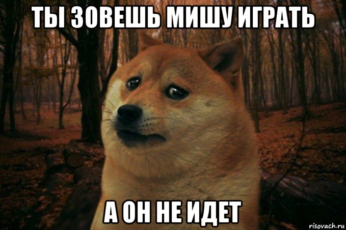 ты зовешь мишу играть а он не идет, Мем SAD DOGE