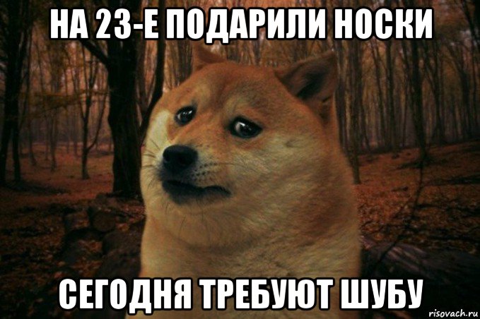 на 23-е подарили носки сегодня требуют шубу, Мем SAD DOGE