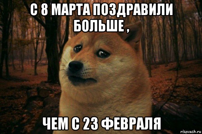 с 8 марта поздравили больше , чем с 23 февраля, Мем SAD DOGE