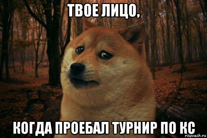 твое лицо, когда проебал турнир по кс, Мем SAD DOGE