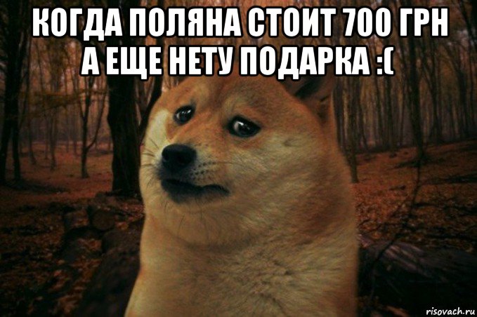 когда поляна стоит 700 грн а еще нету подарка :( , Мем SAD DOGE