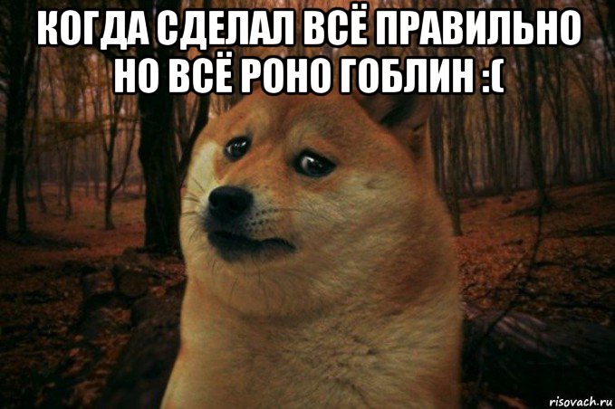 когда сделал всё правильно но всё роно гоблин :( , Мем SAD DOGE