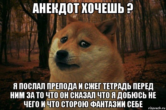 анекдот хочешь ? я послал препода и сжег тетрадь перед ним за то что он сказал что я добюсь не чего и что сторою фантазии себе, Мем SAD DOGE