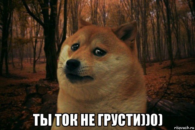  ты ток не грусти))0), Мем SAD DOGE