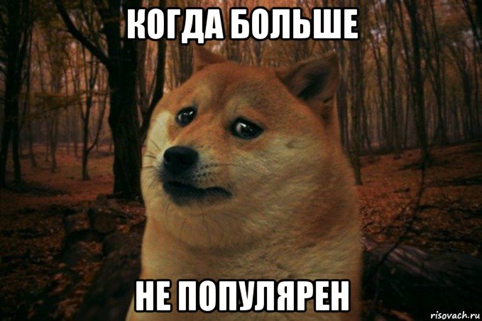 когда больше не популярен, Мем SAD DOGE