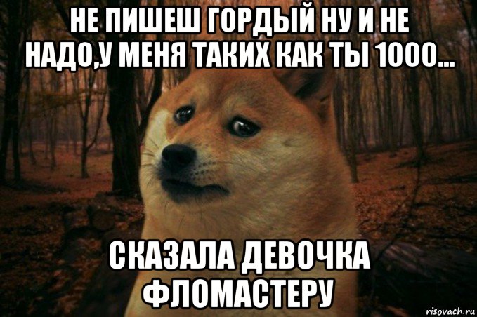 не пишеш гордый ну и не надо,у меня таких как ты 1000... сказала девочка фломастеру, Мем SAD DOGE