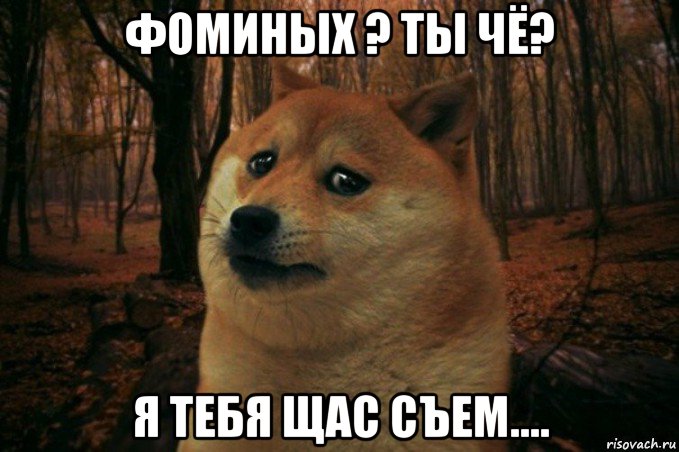 фоминых ? ты чё? я тебя щас съем...., Мем SAD DOGE