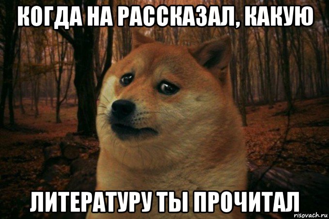 когда на рассказал, какую литературу ты прочитал, Мем SAD DOGE