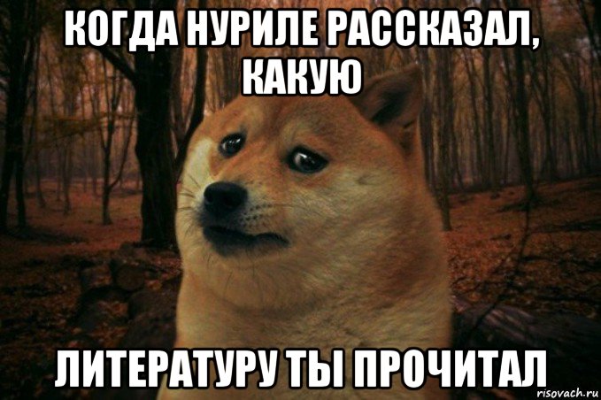 когда нуриле рассказал, какую литературу ты прочитал, Мем SAD DOGE