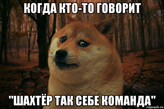 когда кто-то говорит "шахтëр так себе команда", Мем SAD DOGE