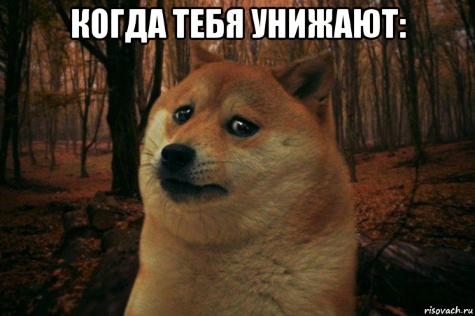 когда тебя унижают: , Мем SAD DOGE