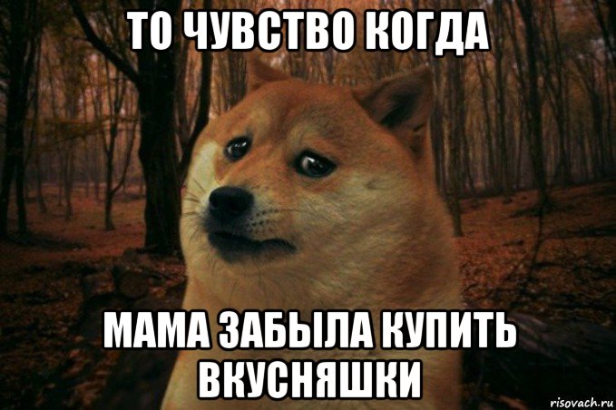 то чувство когда мама забыла купить вкусняшки, Мем SAD DOGE