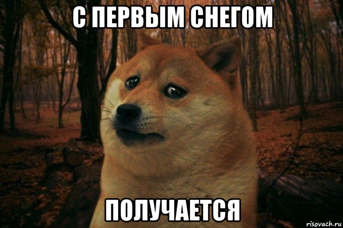 с первым снегом получается, Мем SAD DOGE