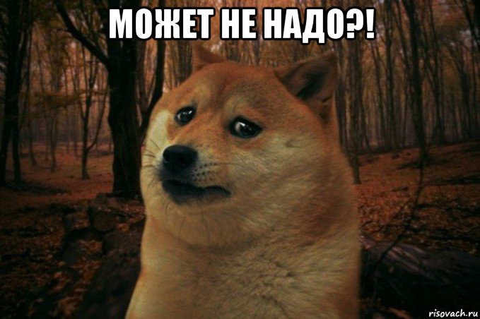 может не надо?! , Мем SAD DOGE