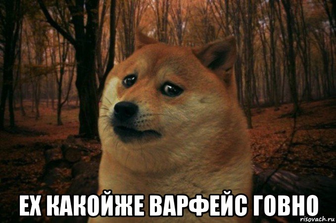  ех какойже варфейс говно, Мем SAD DOGE