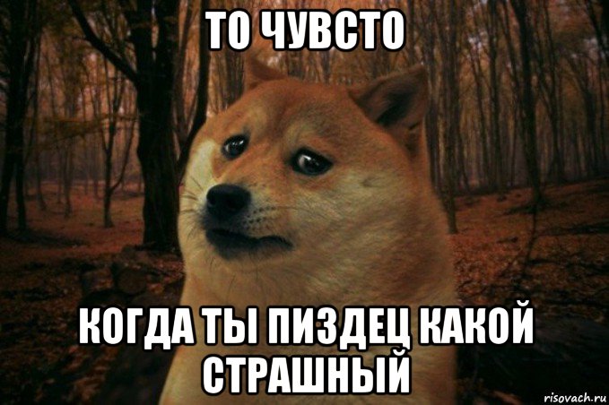 то чувсто когда ты пиздец какой страшный, Мем SAD DOGE