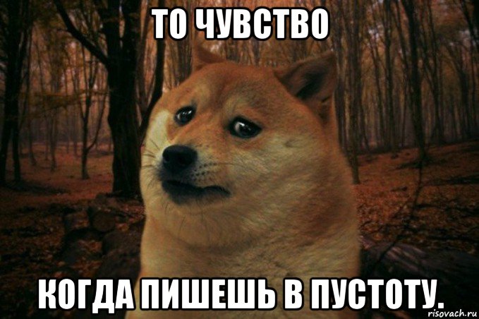 то чувство когда пишешь в пустоту., Мем SAD DOGE