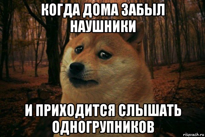 когда дома забыл наушники и приходится слышать одногрупников, Мем SAD DOGE