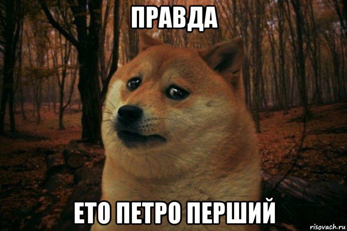 правда ето петро перший, Мем SAD DOGE