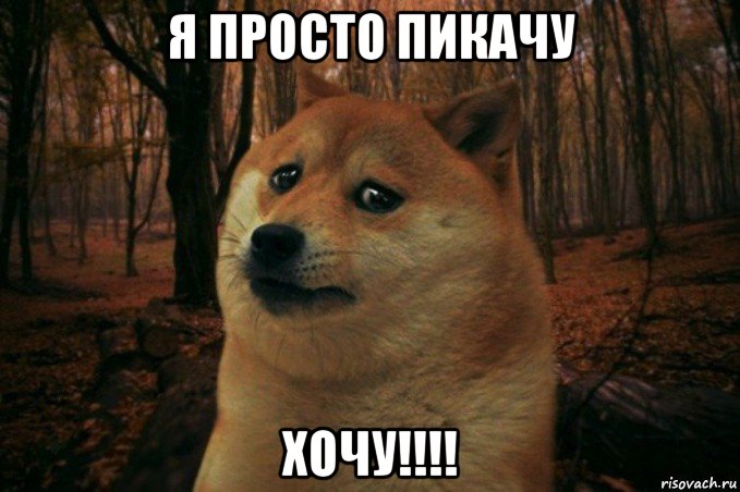 я просто пикачу хочу!!!!, Мем SAD DOGE