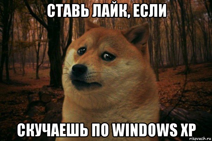 ставь лайк, если скучаешь по windows xp, Мем SAD DOGE