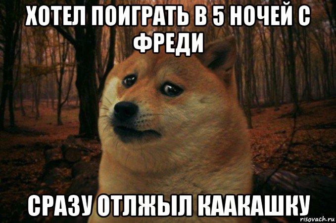 хотел поиграть в 5 ночей с фреди сразу отлжыл каакашку, Мем SAD DOGE