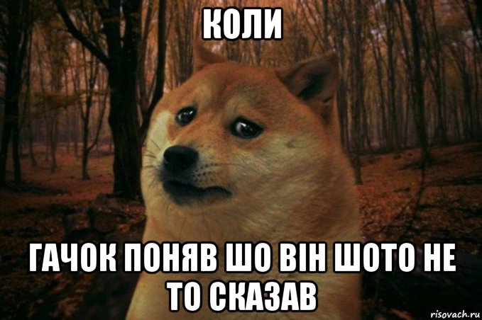 коли гачок поняв шо він шото не то сказав, Мем SAD DOGE