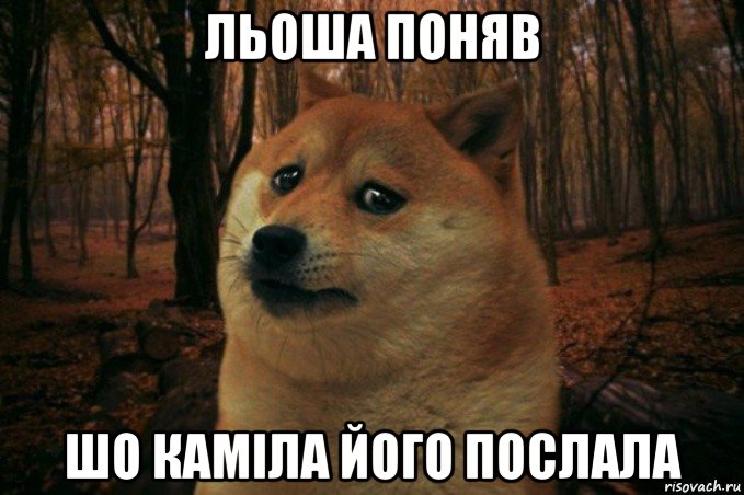 льоша поняв шо каміла його послала, Мем SAD DOGE