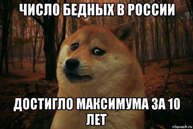 число бедных в россии достигло максимума за 10 лет, Мем SAD DOGE