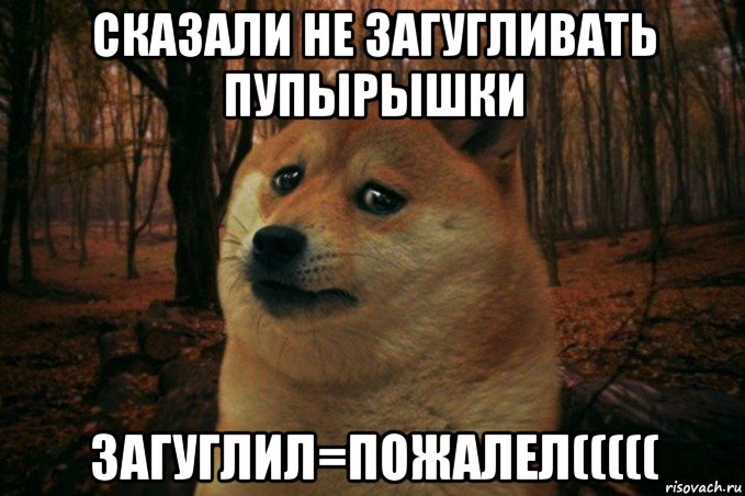 сказали не загугливать пупырышки загуглил=пожалел(((((, Мем SAD DOGE