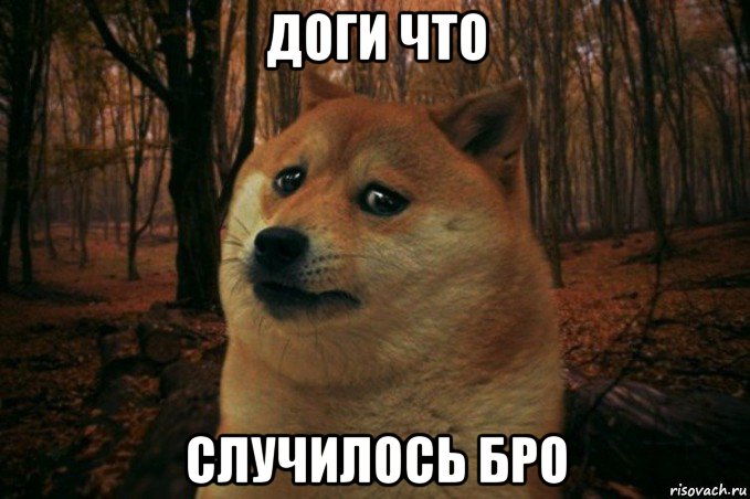 доги что случилось бро, Мем SAD DOGE