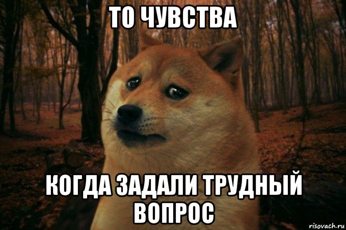 то чувства когда задали трудный вопрос, Мем SAD DOGE