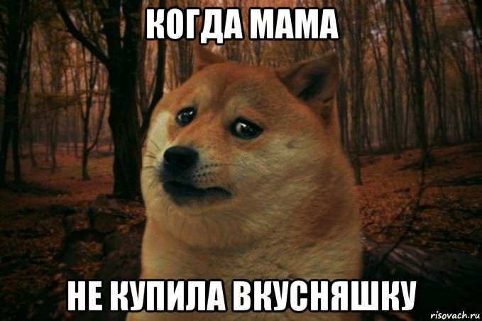 когда мама не купила вкусняшку, Мем SAD DOGE