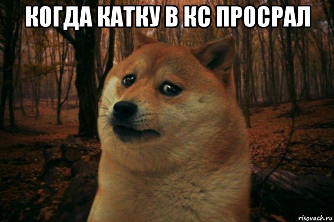 когда катку в кс просрал , Мем SAD DOGE