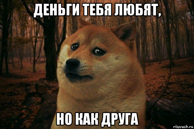 деньги тебя любят, но как друга, Мем SAD DOGE