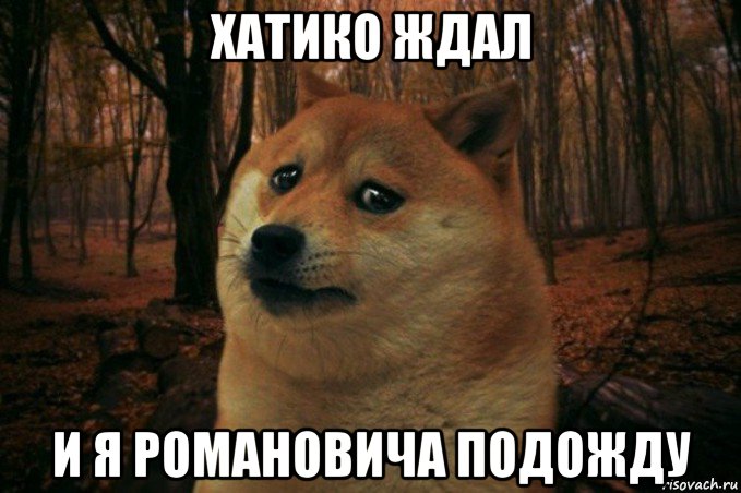 хатико ждал и я романовича подожду, Мем SAD DOGE