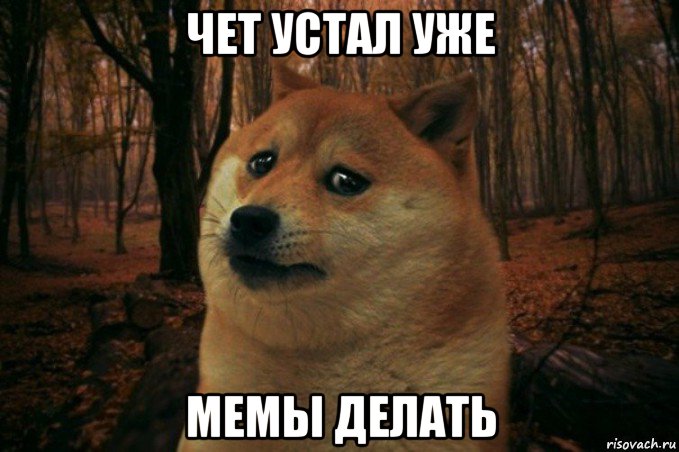 чет устал уже мемы делать, Мем SAD DOGE