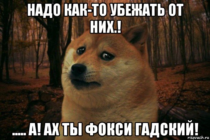 надо как-то убежать от них.! ..... а! ах ты фокси гадский!, Мем SAD DOGE