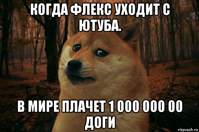 когда флекс уходит с ютуба. в мире плачет 1 000 000 00 доги, Мем SAD DOGE