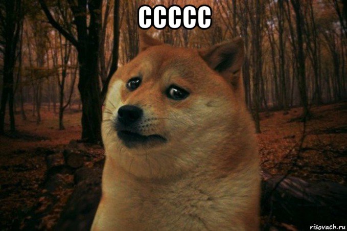 ссссс , Мем SAD DOGE