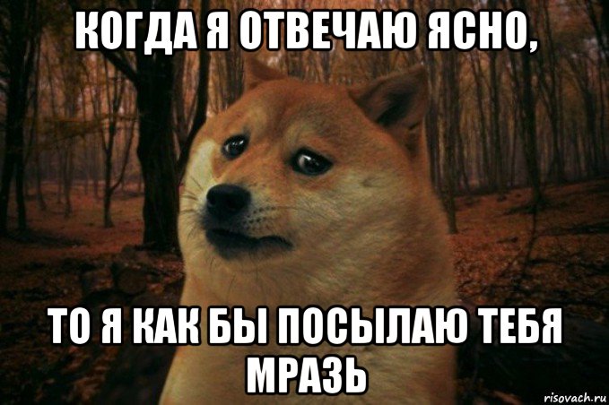 когда я отвечаю ясно, то я как бы посылаю тебя мразь, Мем SAD DOGE