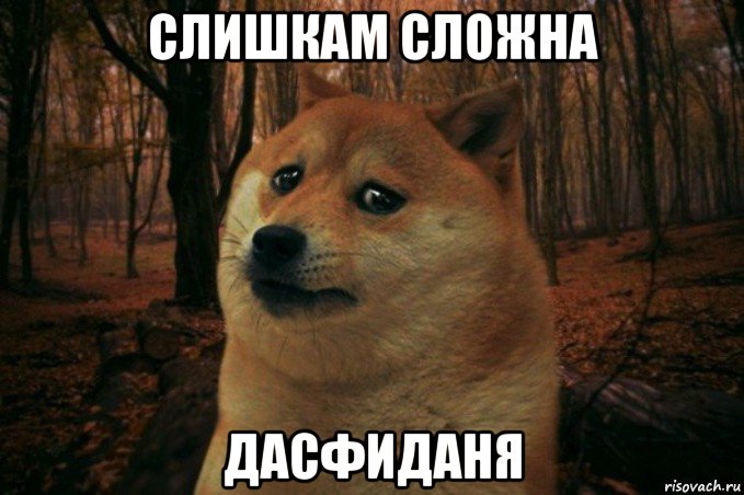 слишкам сложна дасфиданя, Мем SAD DOGE