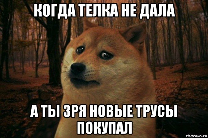 когда телка не дала а ты зря новые трусы покупал, Мем SAD DOGE