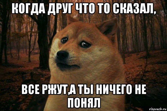 когда друг что то сказал, все ржут,а ты ничего не понял, Мем SAD DOGE