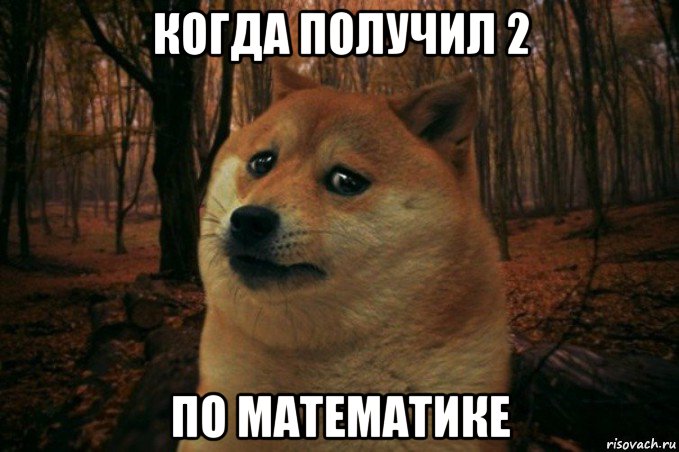 когда получил 2 по математике, Мем SAD DOGE